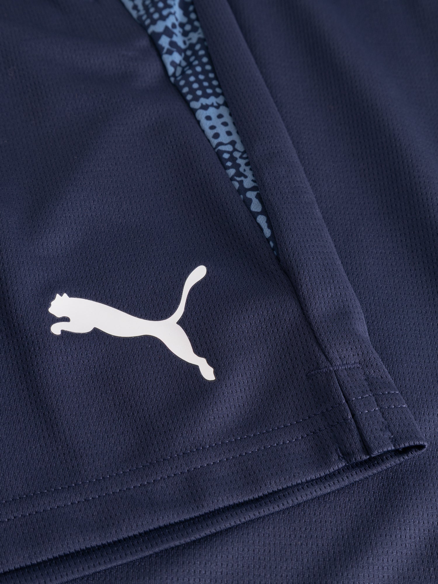 teamEVOSTRIPE Training shorts HIF